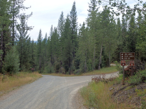 GDMBR: Southbound on NF-903, Cold Creek Road.